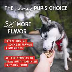 Stella & Chewy’s Freeze Dried Raw Chewy’s Chicken Meal Mixers – Dog Food Topper for Small & Large Breeds – Grain Free, Protein Rich Recipe – 28g Bag