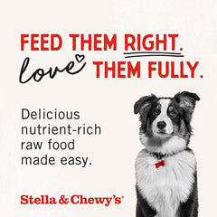 Stella & Chewy’s Freeze Dried Raw Chewy’s Chicken Meal Mixers – Dog Food Topper for Small & Large Breeds – Grain Free, Protein Rich Recipe – 28g Bag