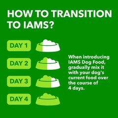 IAMS Proactive Health Minichunks Dry Dog Food – Crunchy Kibble For Adult Dogs – Chicken & Whole Grain Recipe – 13.61KG (30LB) Bag