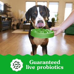 Greenies Smart Essentials Sensitive Digestion & Skin Adult Dry Dog Food Real Lamb & Brown Rice Recipe, 2.72kg (6lb) Bag