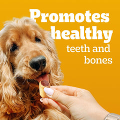 PEDIGREE Marrobone Adult Dog Treats – Real Beef Flavour with Real Bone Marrow - Vitamins Enriched – 3KG Pouch