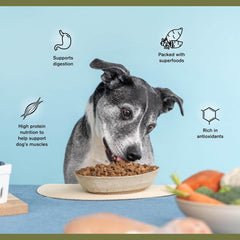 Superfood Complete, Air-Dried Adult Dog Food - High Protein, Zero Fillers, BADLANDS RANCH Superfood Nutrition by Katherine Heigl (326 Grams, Beef)