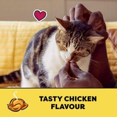 TEMPTATIONS Adult Cat Treats Tasty Chicken Flavour, 850g Tub