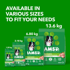 IAMS Proactive Health Minichunks Dry Dog Food – Crunchy Kibble For Adult Dogs – Chicken & Whole Grain Recipe – 13.61KG (30LB) Bag