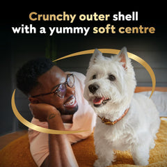 CESAR BAKIES Dog Treats, For Small Breed Adult Dogs, New York Strip Flavour, Crunchy Texture, Fun Shapes, 550g Resealable Pouch