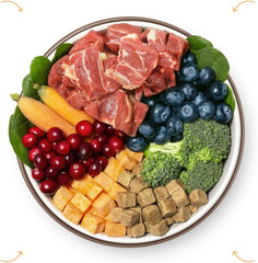 ULTIMATE PET NUTRITION Nutra Complete, 100% Freeze Dried Veterinarian Formulated Raw Dog Food with Antioxidants Prebiotics and Amino Acids (16 oz., Beef)