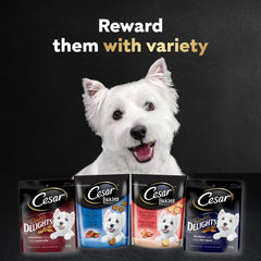 CESAR BAKIES Dog Treats, For Small Breed Adult Dogs, New York Strip Flavour, Crunchy Texture, Fun Shapes, 550g Resealable Pouch