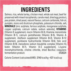 Beyond Superfood Blend Natural Dry Dog Food, Wild Caught Salmon, Egg & Pumpkin - 10.2 kg Bag
