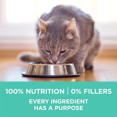 Purina ONE +Plus Dry Cat Food, Sensi