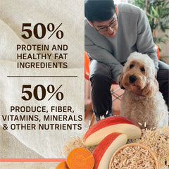 Merrick Healthy Grains Dry Dog Food, Real Salmon and Brown Rice Ancient Grains - 12 lb (5.44 kg) Bag (1 Pack)