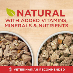 Purina ONE Tender Cuts Wet Dog Food, in Gravy Variety Pack 2 Flavours - 368 g Can (12 Pack)