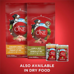 Purina ONE Tender Cuts Wet Dog Food, in Gravy Variety Pack 2 Flavours - 368 g Can (12 Pack)