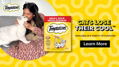 TEMPTATIONS Adult Cat Treats Tasty Chicken Flavour, 850g Tub
